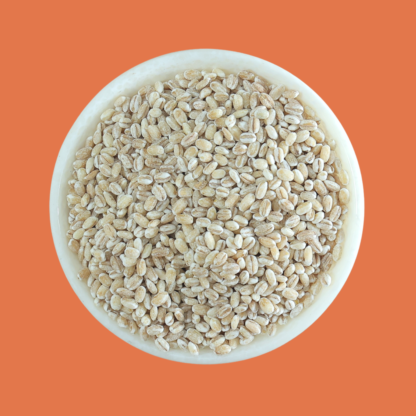 Jav (Pearl Barley)