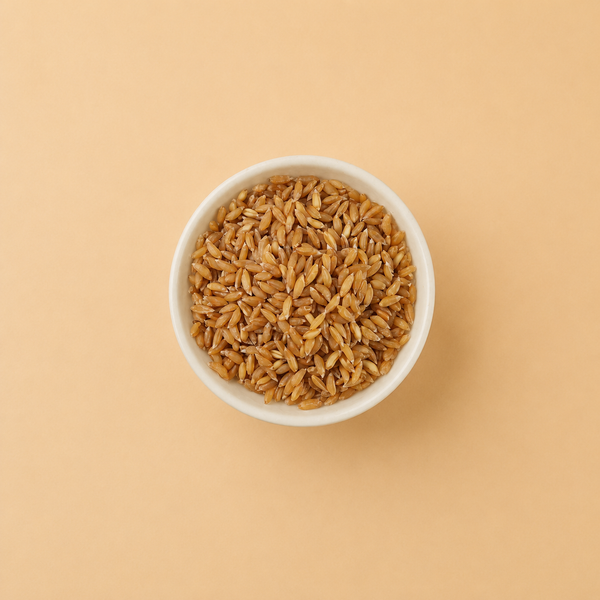 Bhaliya Wheat