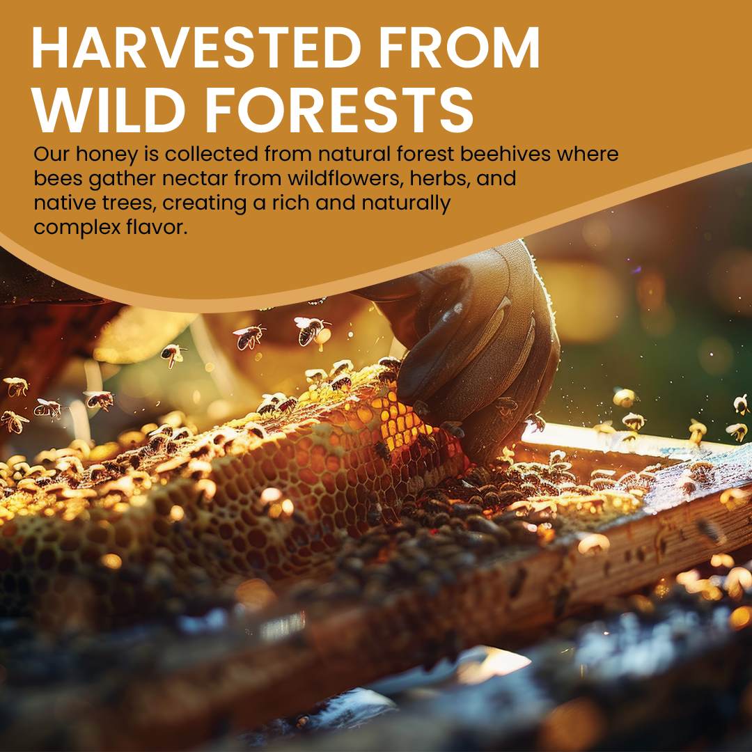 Raw Forest Honey