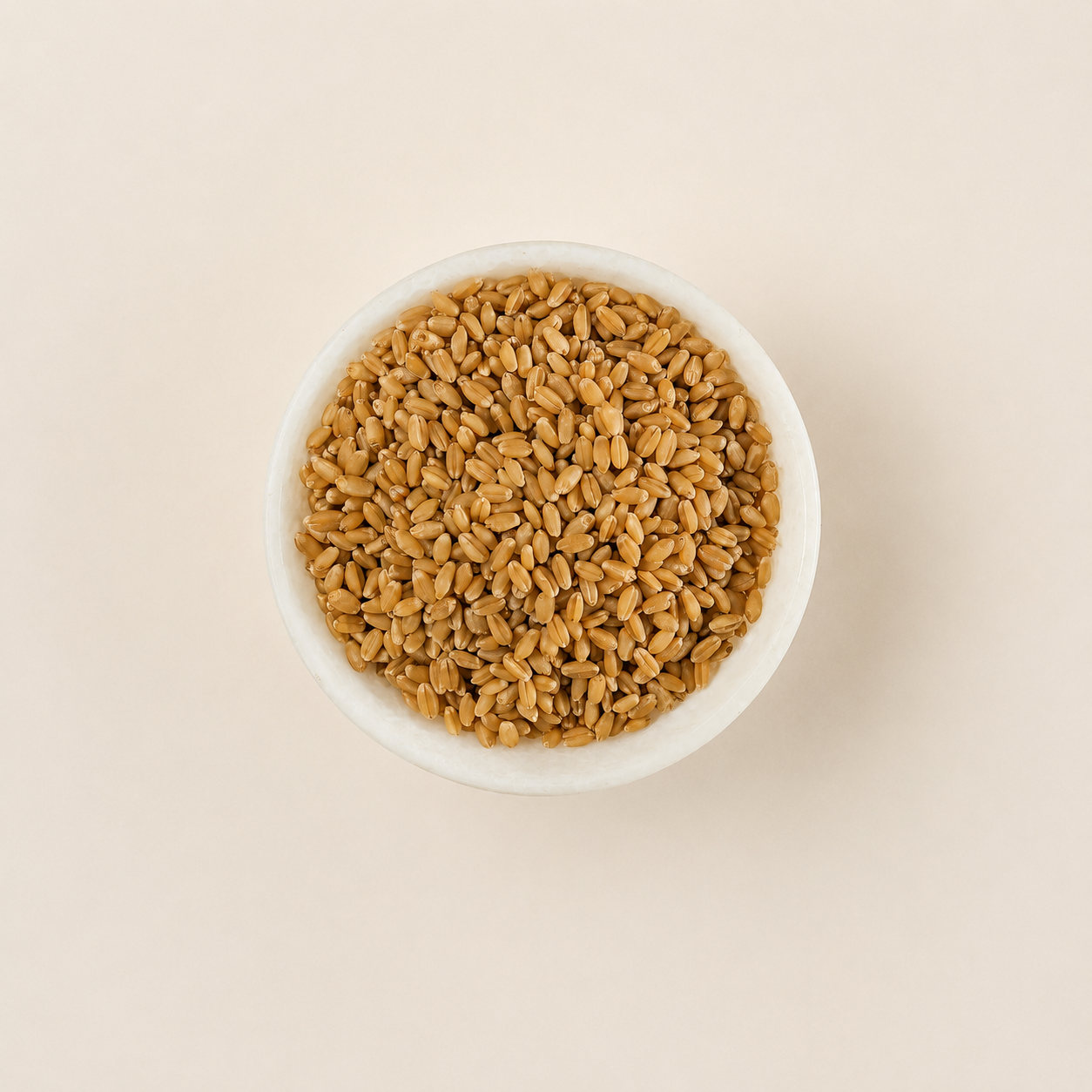 Sharbati Wheat