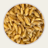 Baliya wheat with oil