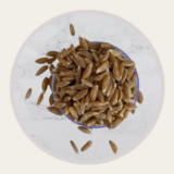 khapli wheat